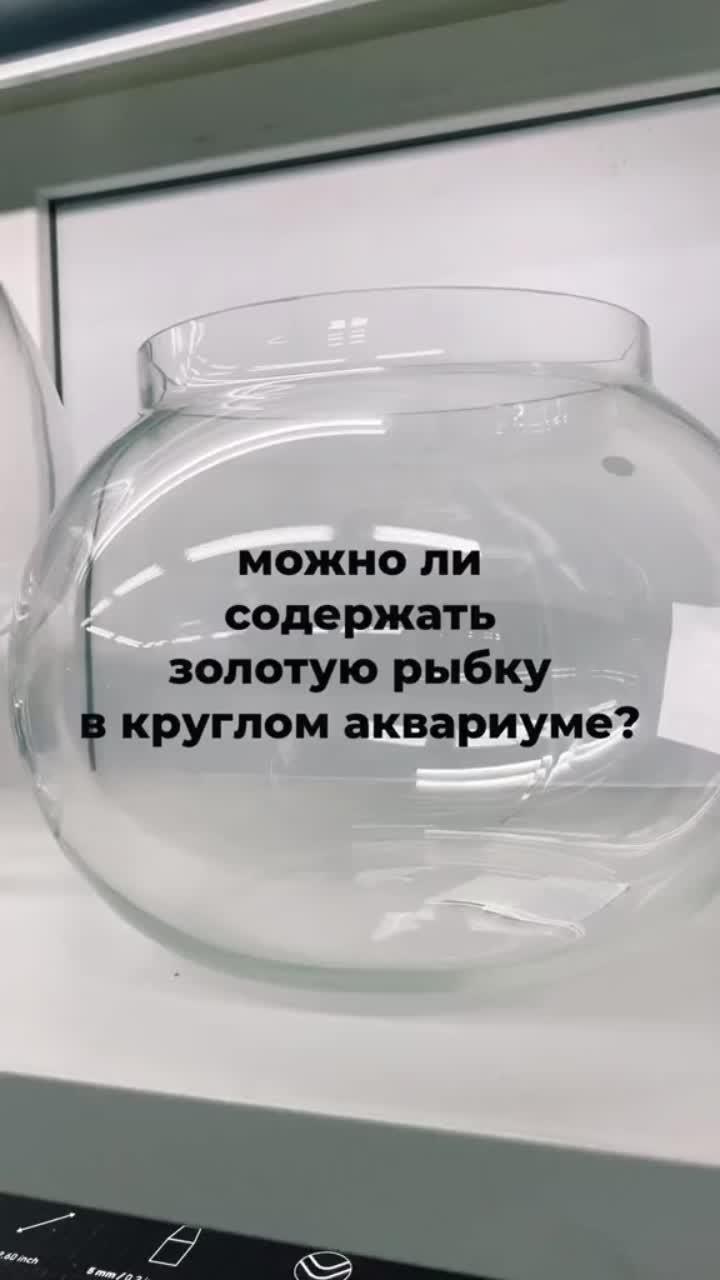 лайки: 187.2k.комментарии: 1196.видео от пользователя exomenu (@exomenu): «развенчиваем мифы специально для вас! 🐟».large indoor aquarium. she share story (for vlog) - 山口夕依.