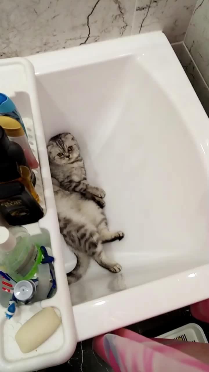Бусинка отдыхает