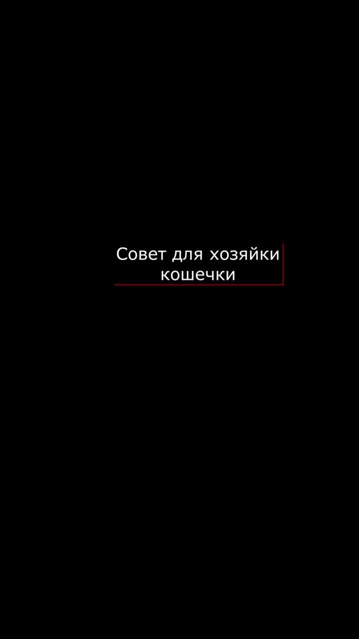 лайки: 61.5k.комментарии: 2100.видео в от пользователя генератор идей (@dzengen): «всегда так делаю) #кошки #прокошек #советы #хитрости #лайфхаки #лайфхакдлядома #чистота #генераторидей #тыэтоможешь #сделайсам #хитрый».оригинальный звук - генератор идей.