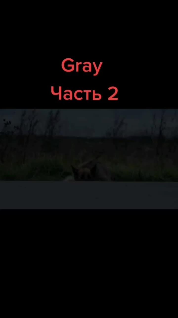 лайки: 318.4k.комментарии: 10.2k.видео от пользователя yashhik tv (@yashhik1): «».оригинальный - yashhik tv.