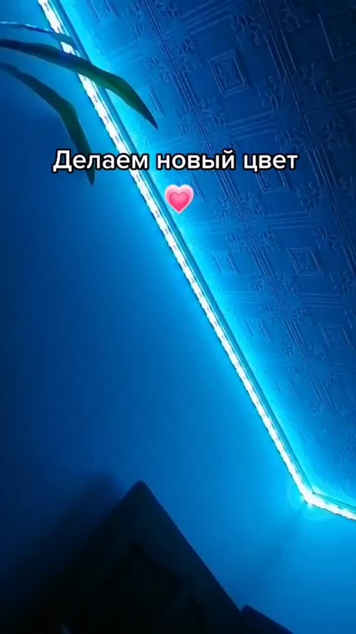 лайки: 1170.видео в от пользователя 💗светодиодная лента💗 (@.mikovaa): «работает не на всех лентах 💗».sky - speed songs.