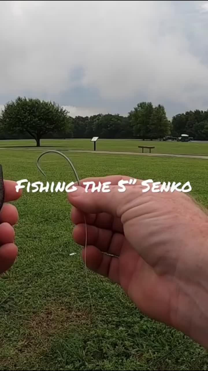 rigging a 5” watermelon red flake senko on a 4/0 ewg hook texas rig style, but no weight. weightless texas rig is a favorite of as well as the senko #shorts