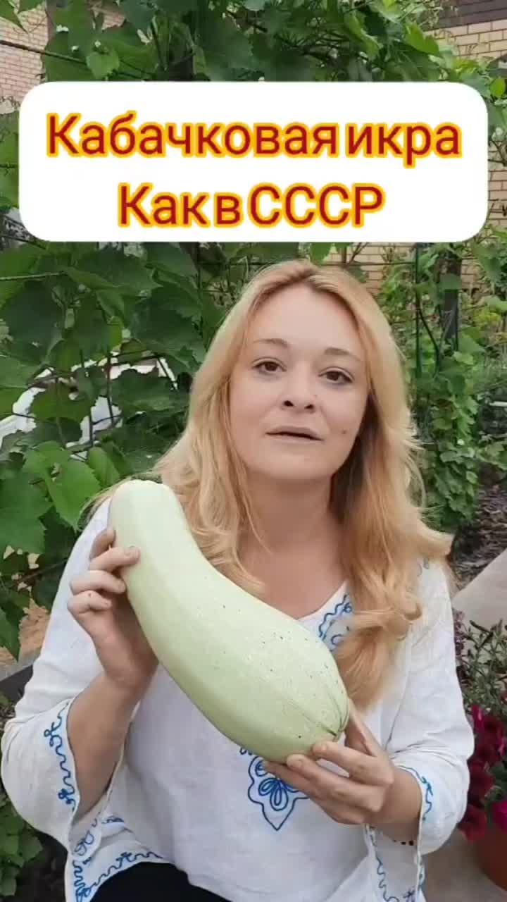 лайки: 32.4k.комментарии: 382.видео в от пользователя огороднутая садистка (@annaessina8302): «кабачковая икра как в ссср#кабачковаяикра#урожай2021#кабачкирецепт#овощисогорода#жизньзагородом».jalebi baby - tesher.