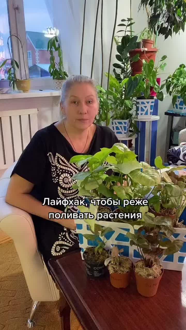 лайки: 239.видео в от пользователя огород, орхидеи, рассада 🌿 (@lena_dom.sad.ogorod): «а вы что делаете, чтобы реже поливать? #уходзакомнатнымирастениями #домашниецветы #полезныесоветы».low - m_a_r_i_a.