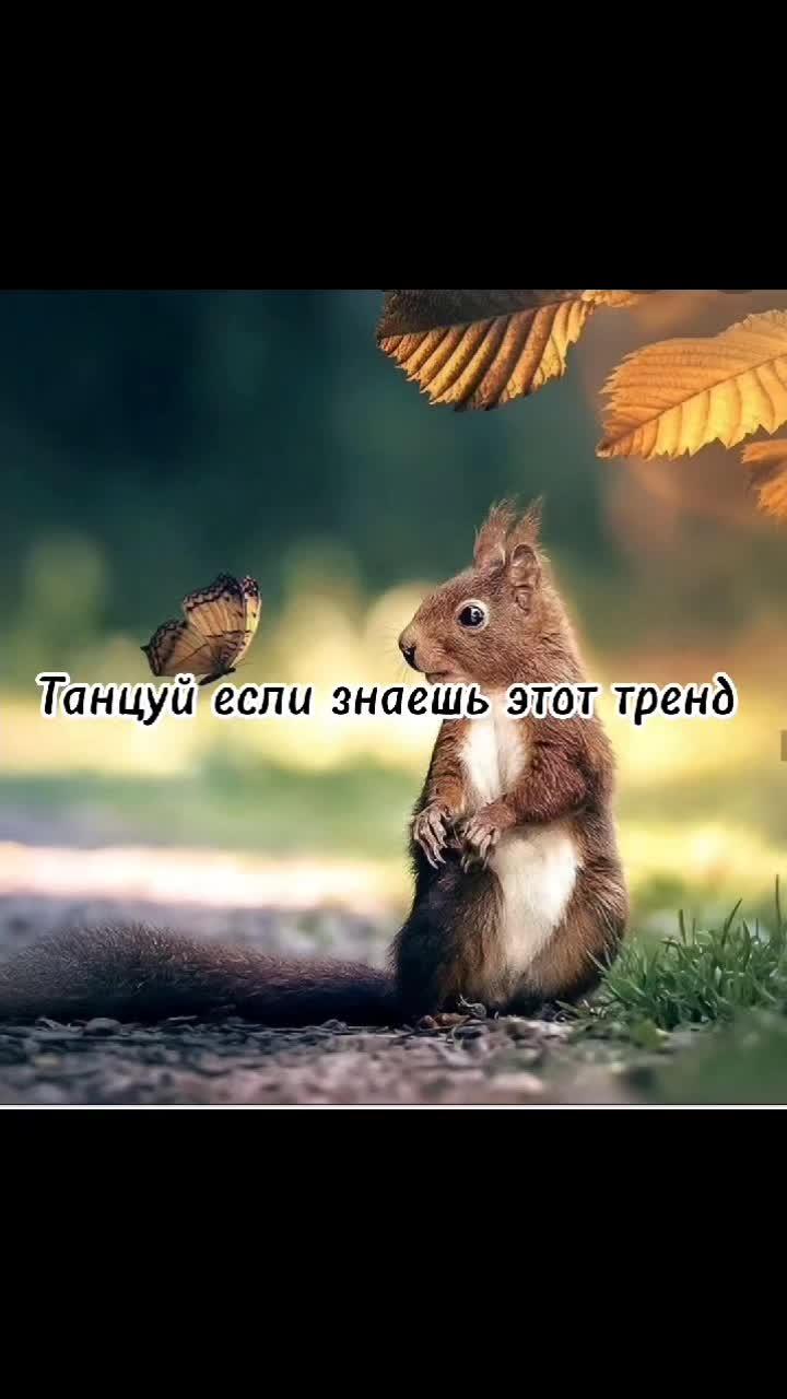 танцуй если знаешь этот тренд