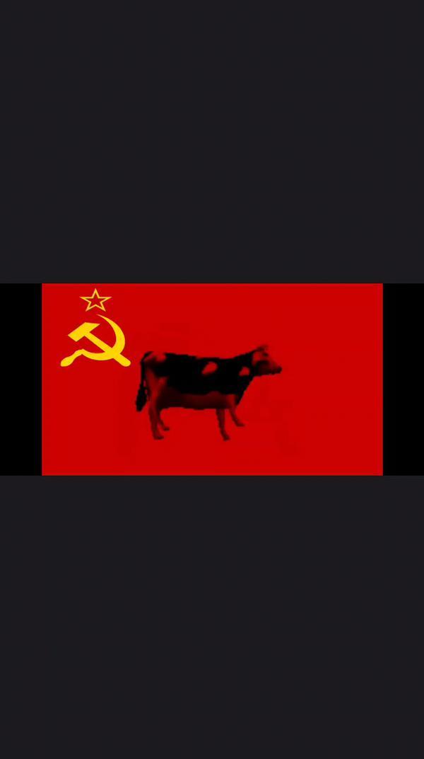корова танцует на фоне флага СССР