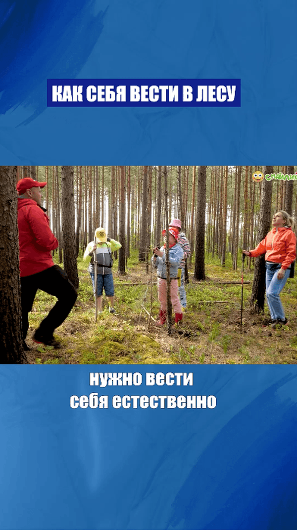 Правила поведения в лесу  #Поход #походы #походвлес