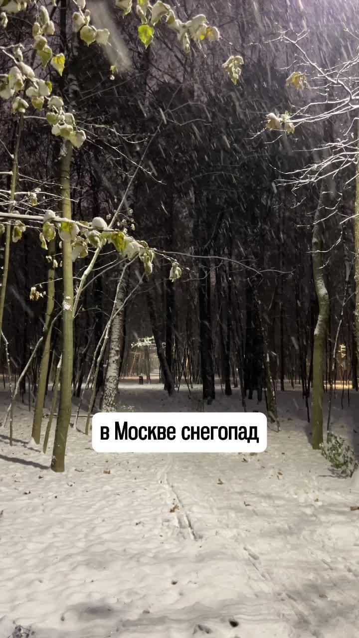 Снегопад в Москве #москва #снегопад