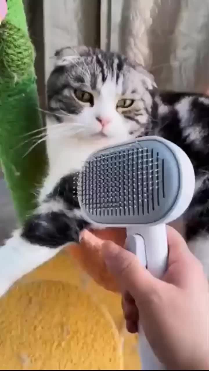 для кошек чисалка