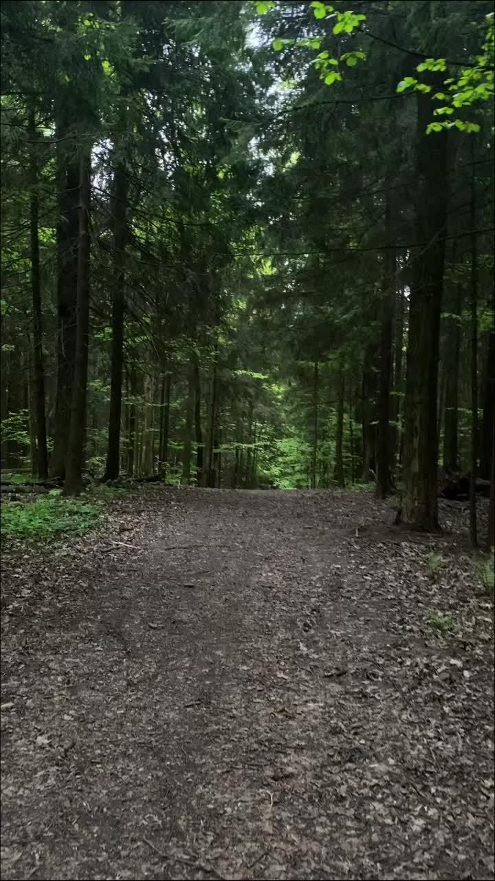 #forest