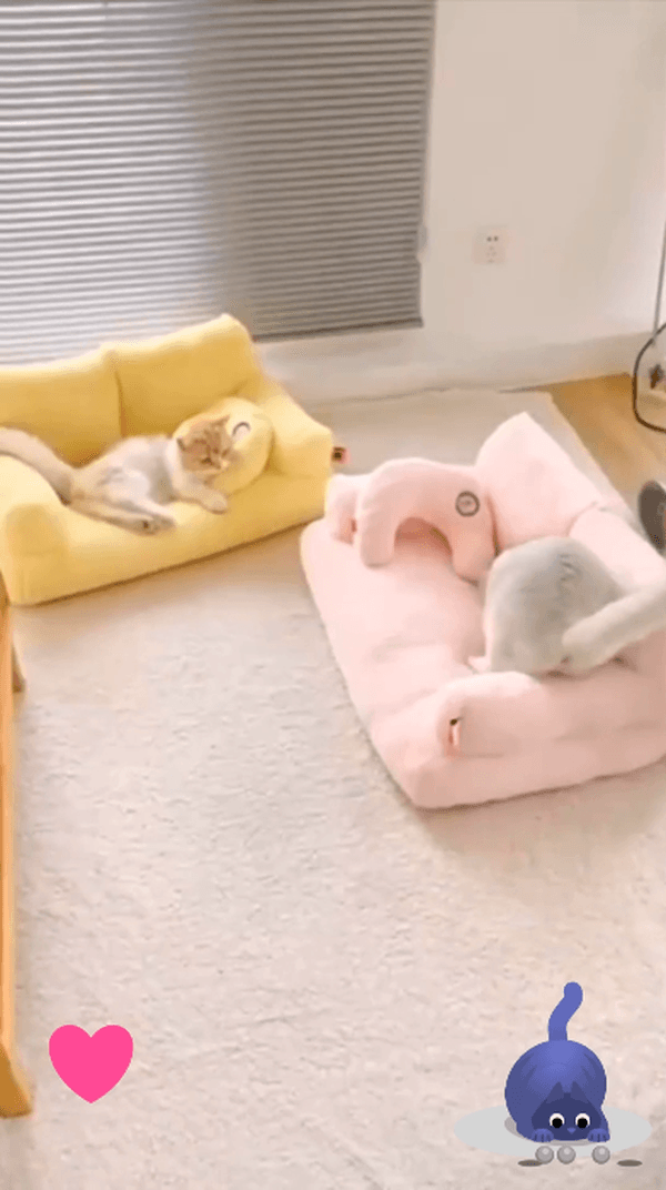 Кррасивые диванчики для котов и кошек