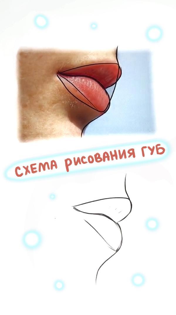 Туториал «Схематичное рисование губ»🌟

#рисование #anitfom