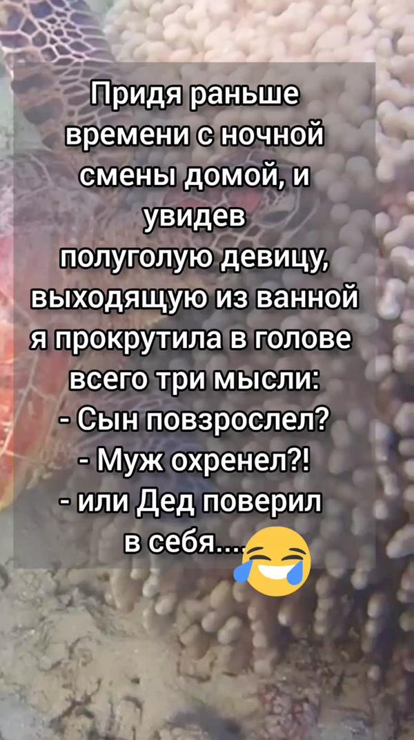 Анекдот от Василича #анекдот #анекдотдня #анектоты #анекдотизжизни #анекдотысвежие #анекдоты