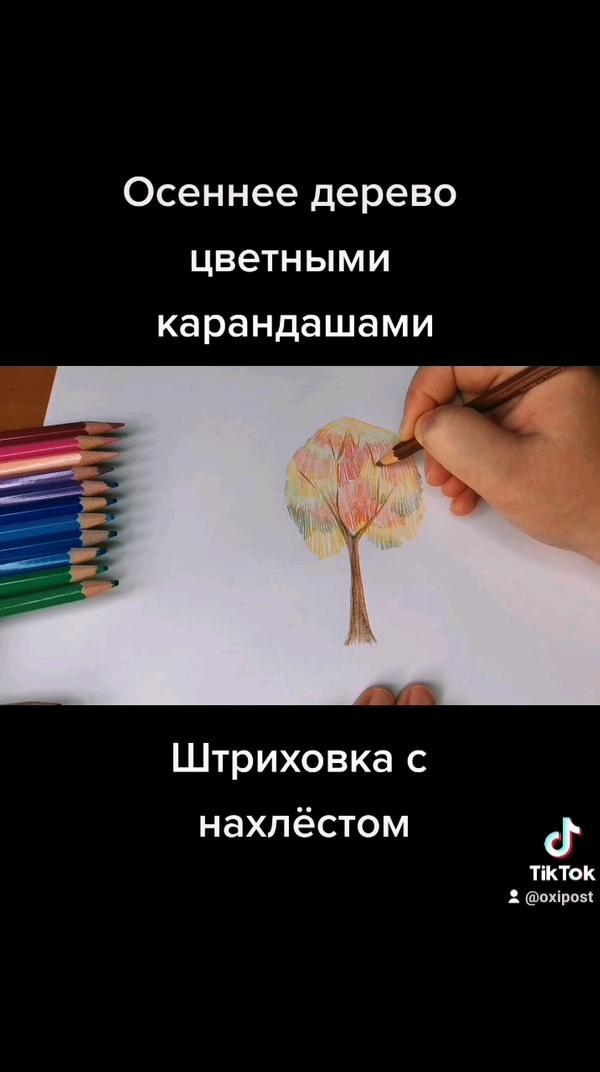 Дерево цветными карандашами #рисунок #рисунки #рисование #туториал