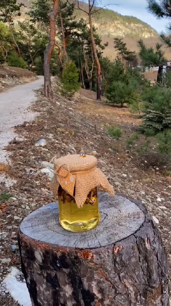 Путешествие баночки мёда на Кавказ #пчеловодство #пчелы #мёд #жизньвдеревне