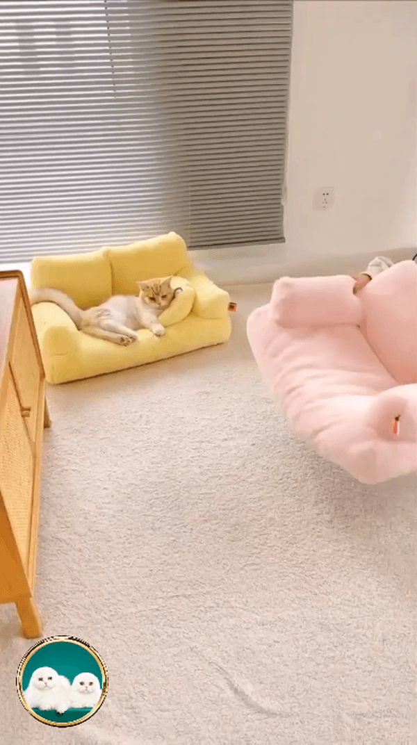 Мягкие диванчики для котов